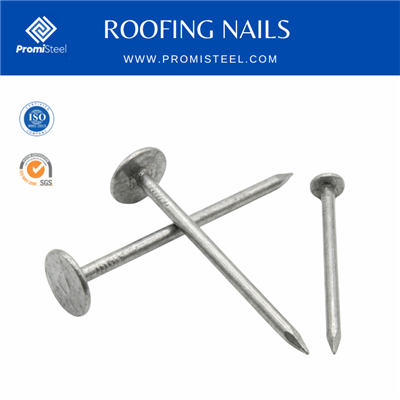Smooth Shank Roofing Nails